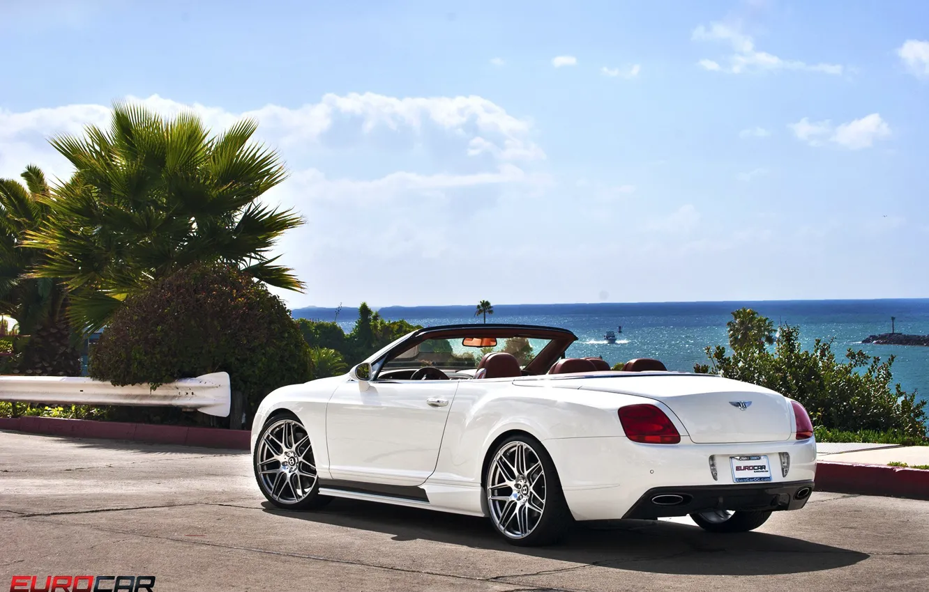 Фото обои белый, white, Bentley Continental GTC