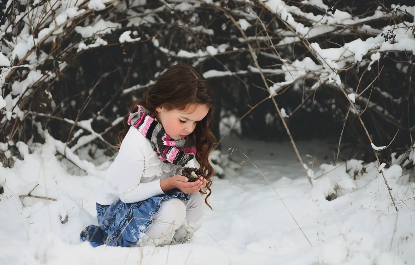 Фото обои снег, гнездо, девочка