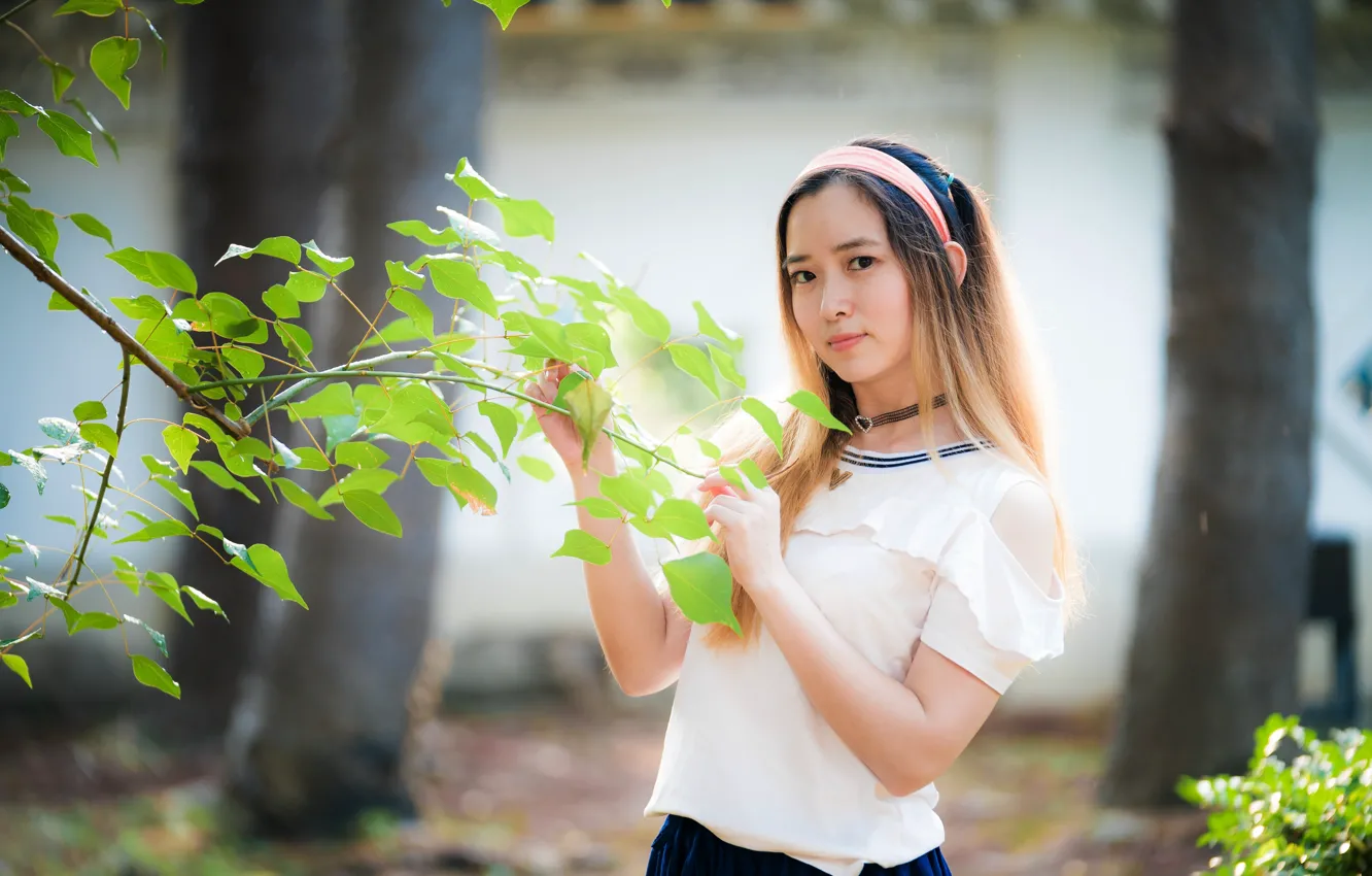 Фото обои взгляд, листья, девушка, ветка, азиатка