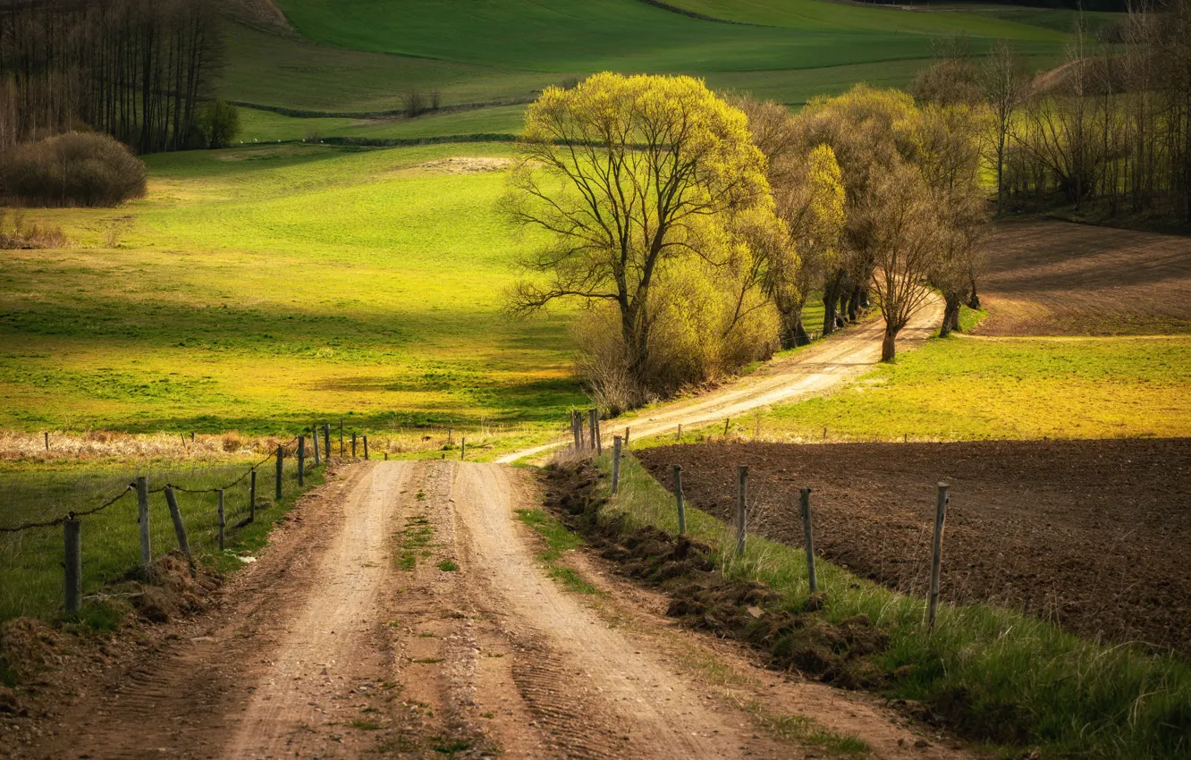 Фото обои дорога, природа, пашня