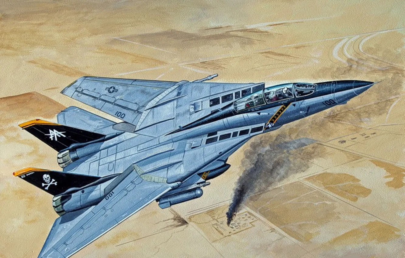 Фото обои Самолет, США, Арт, Ирак, ВВС США, Tomcat, Многоцелевой истребитель, F-14B