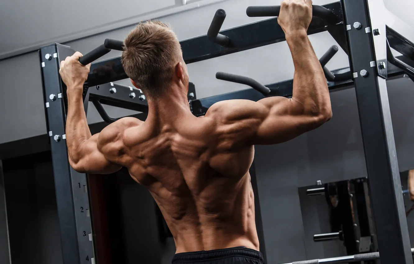 Фото обои Спина, muscle, мышцы, Back, турник, workout, тренажерный зал, gym