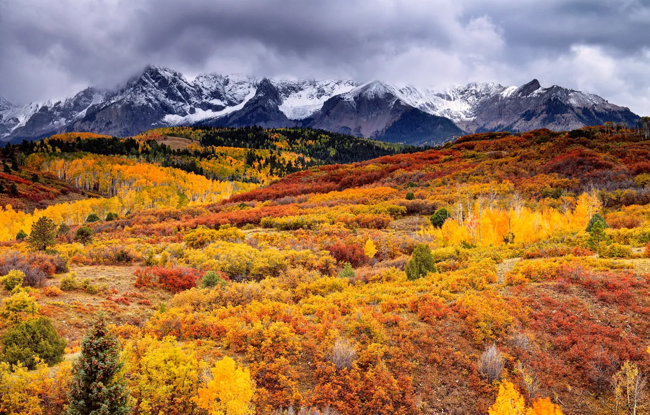 Фото обои осень, лес, небо, облака, горы, краски