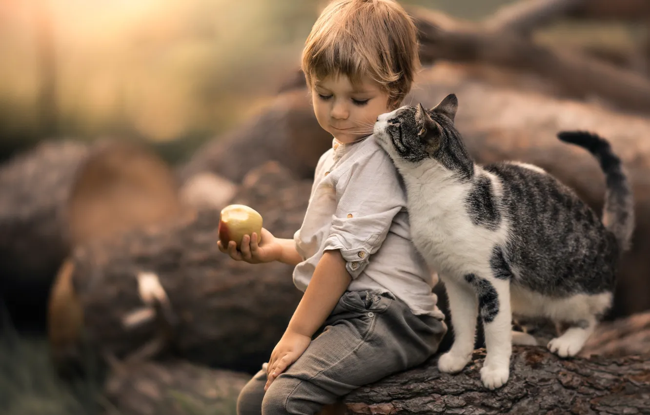 Фото обои кошка, кот, яблоко, мальчик, дружба, бревно, друзья, боке