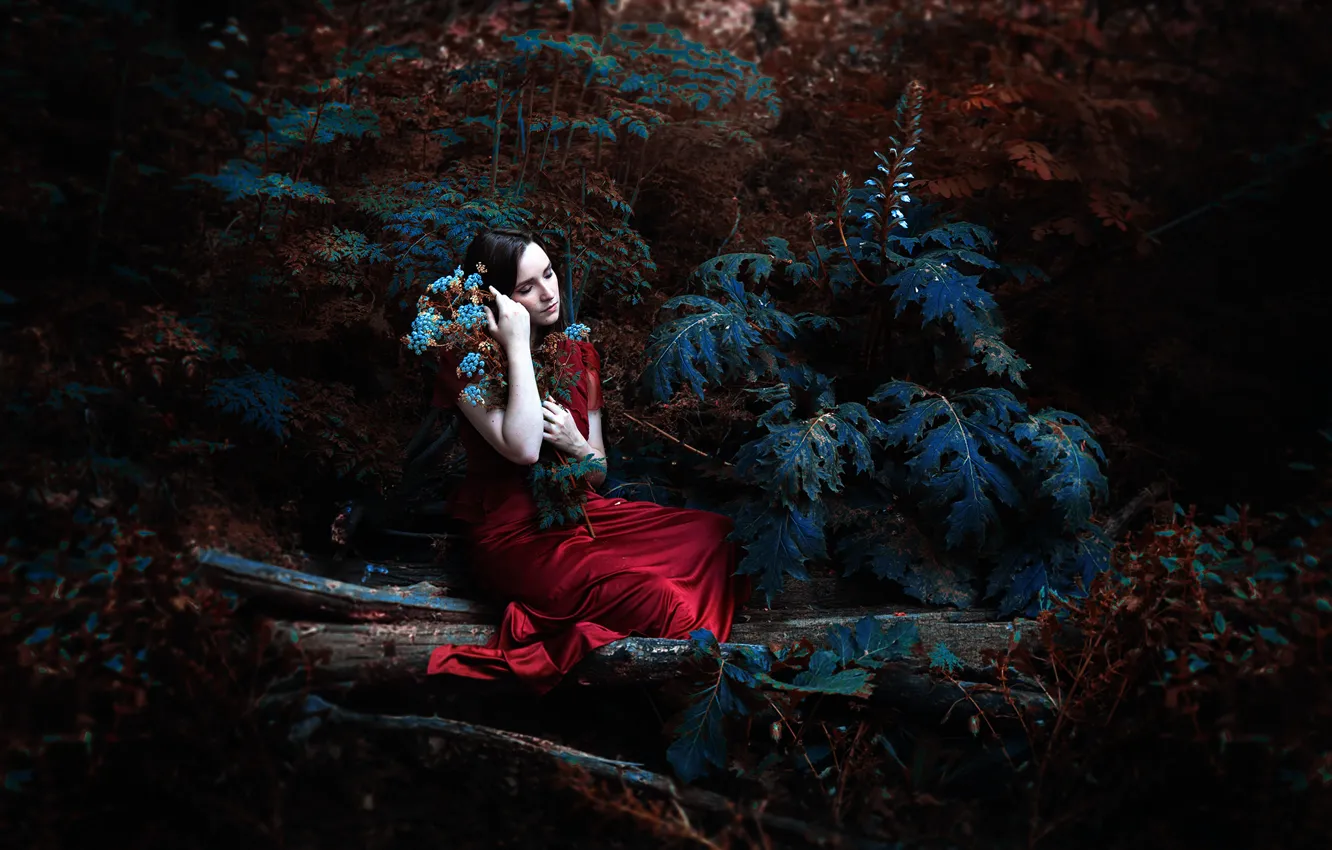 Фото обои лес, девушка, платье, Ronny Garcia