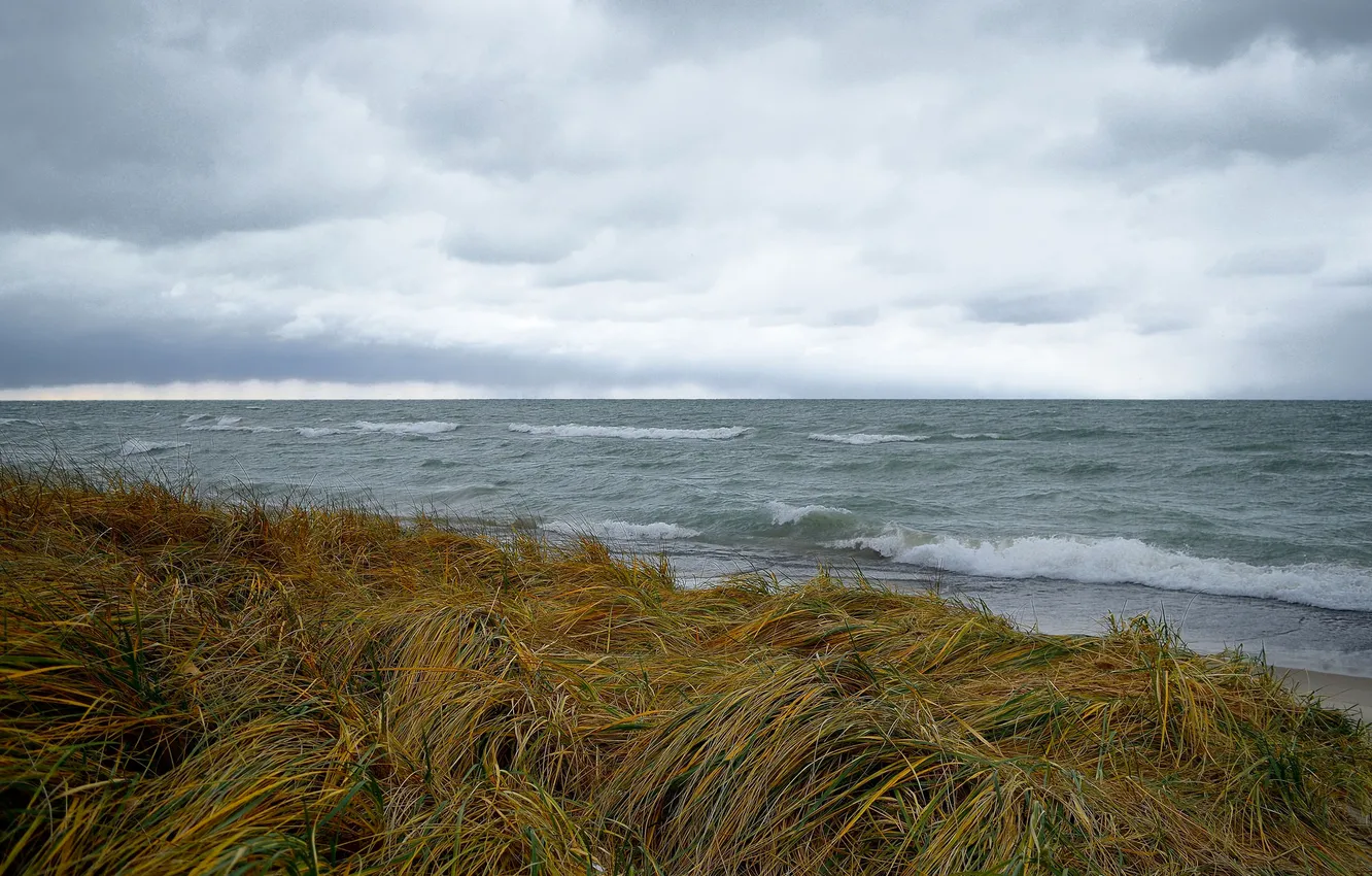 Фото обои море, волны, небо, трава, тучи, берег