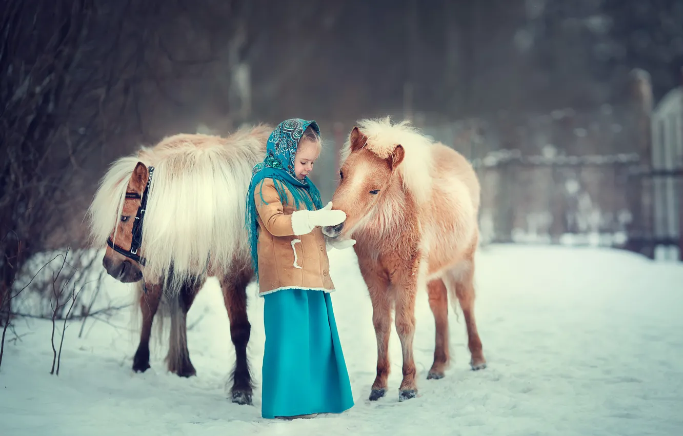 Фото обои зима, снег, девочка, пони, платок, лошадки