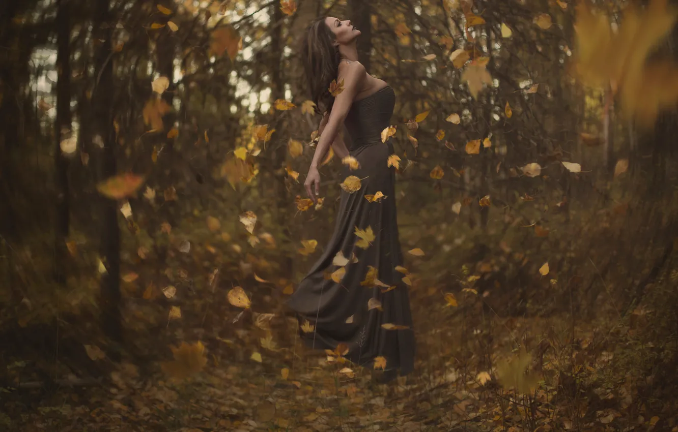 Фото обои осень, лес, листья, девушка, вихрь