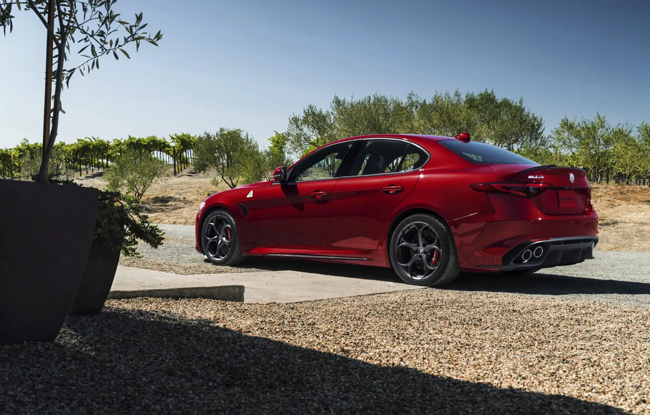 Фото обои Alfa Romeo, альфа ромео, Quadrifoglio, Giulia, джулия