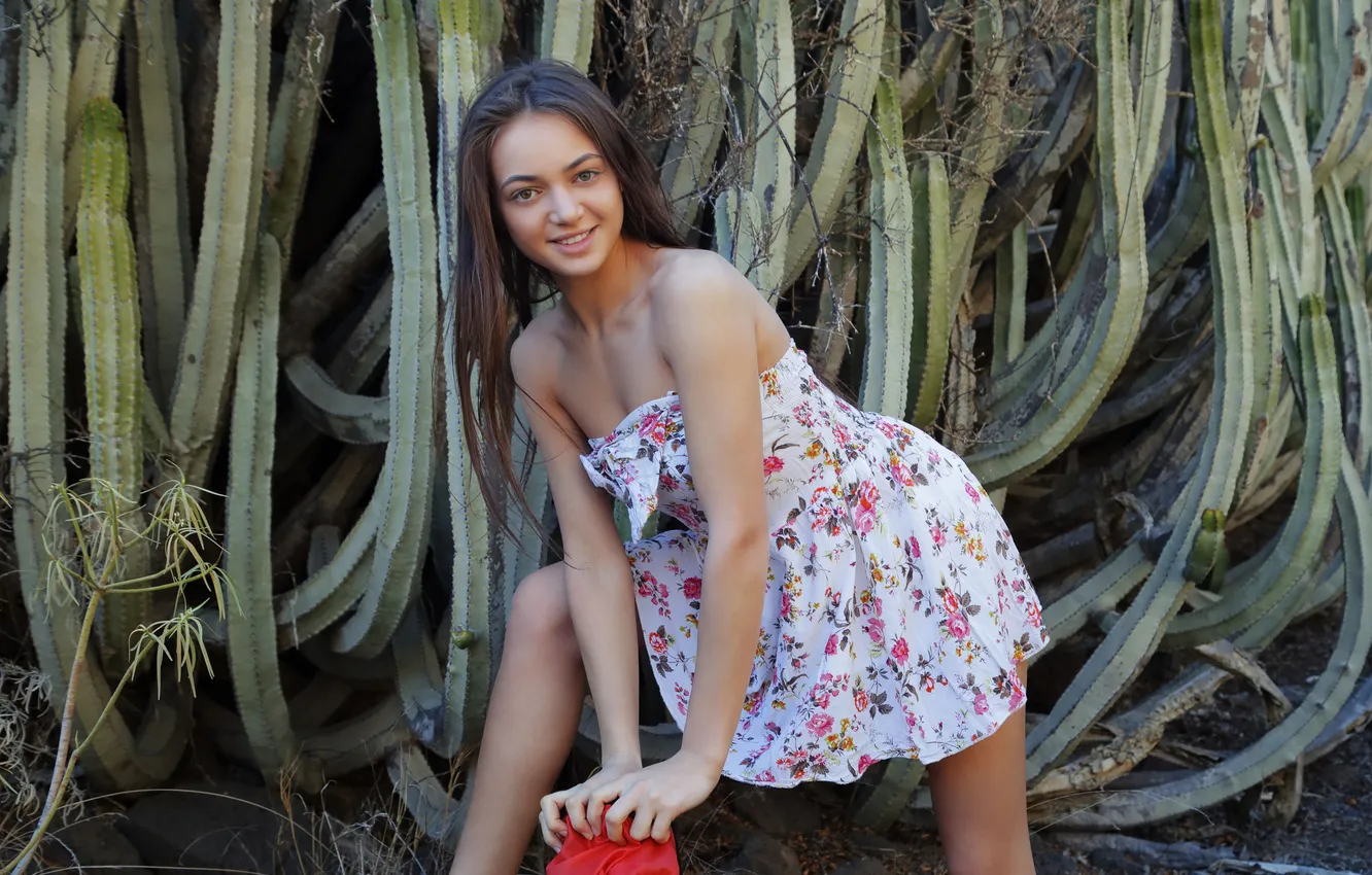 Фото обои Model, Smile, Cactus, Angely Grace, Summer Dress, Woman Outdoors