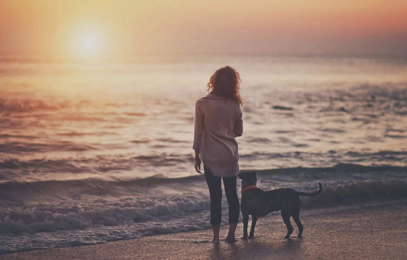 Фото обои море, волны, закат, Девушка, собака
