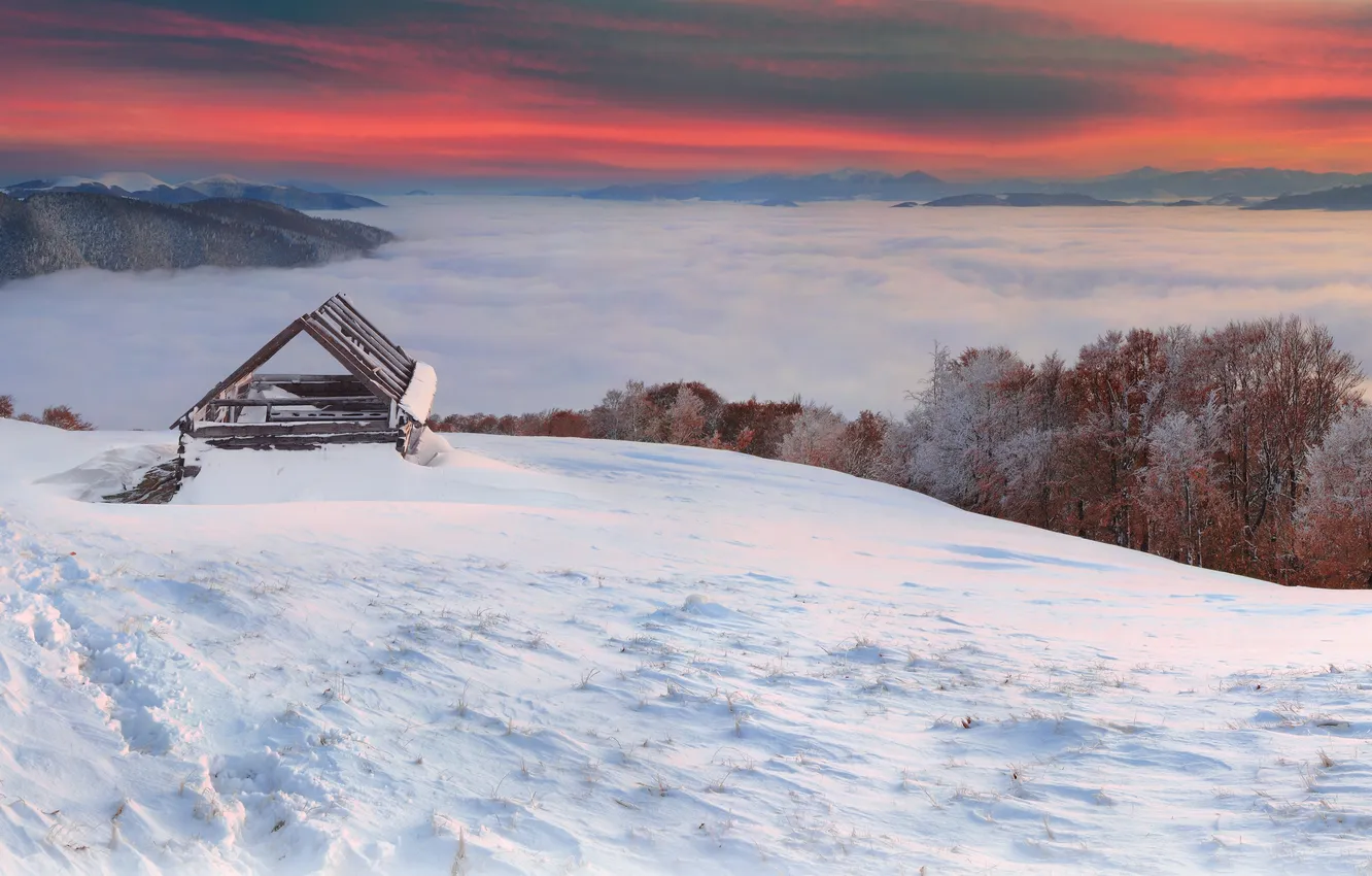 Фото обои зима, облака, деревья, туман, строения, сопки