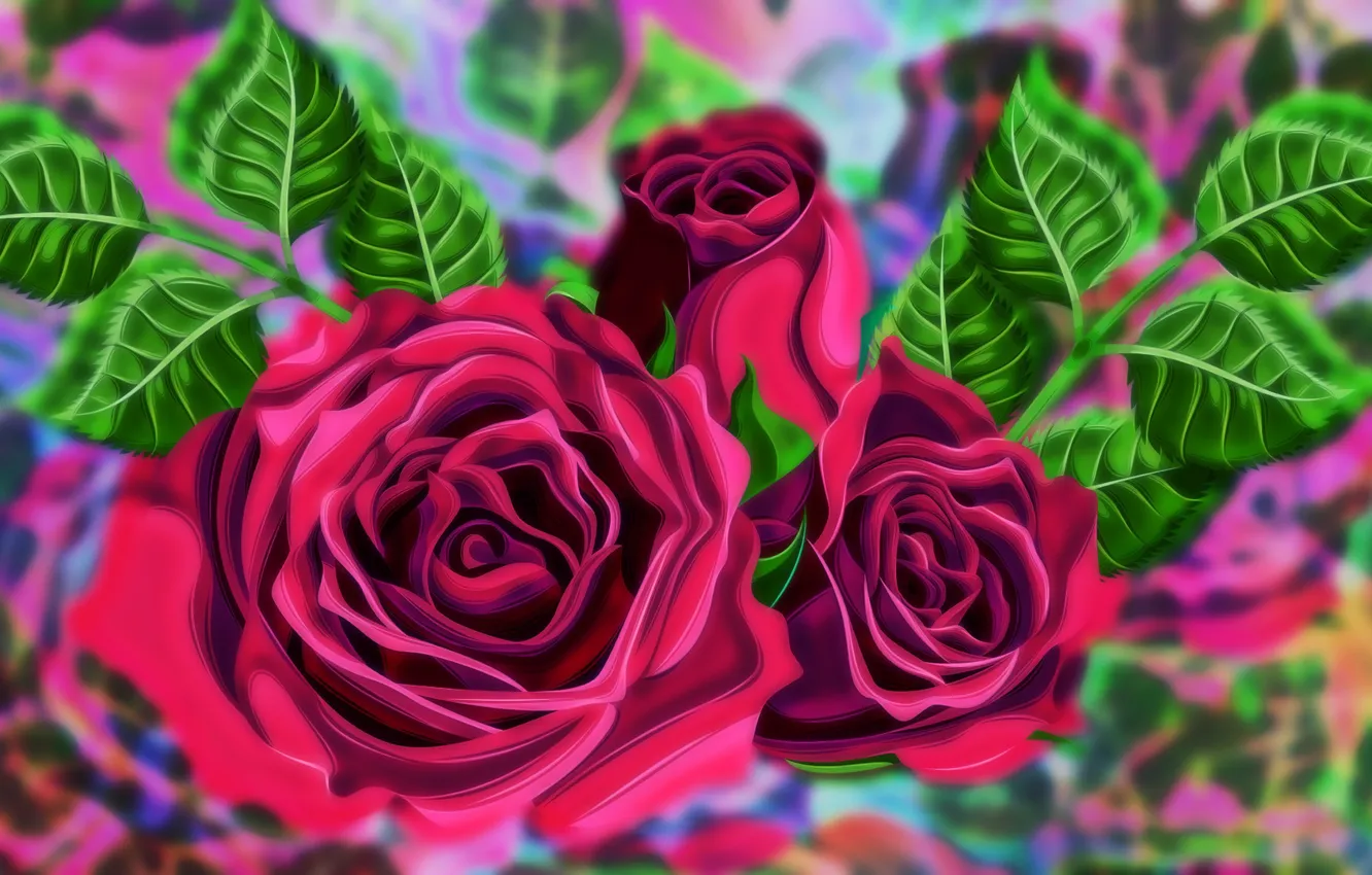 Фото обои Grafika, kwiaty, Róże