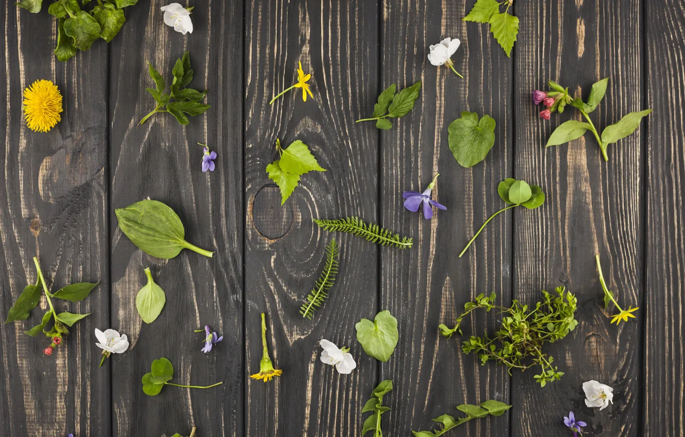 Фото обои цветы, wood, flowers, leaves, декор, table