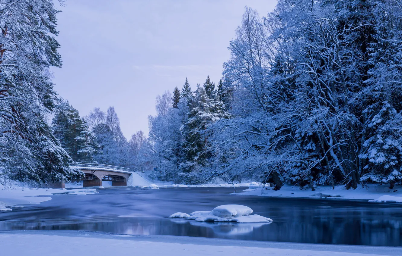 Фото обои зима, вода, снег, деревья, пейзаж, природа, пруд, парк