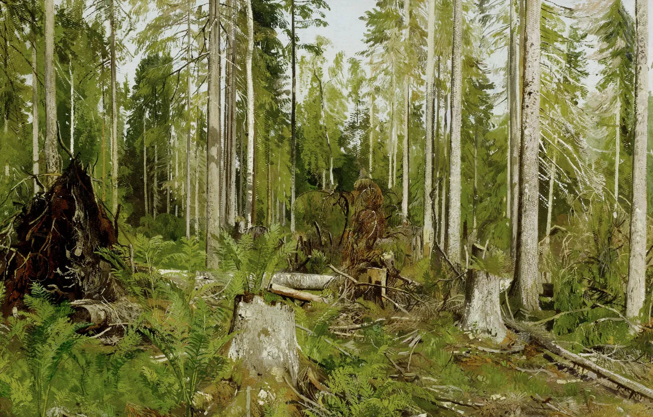 Фото обои деревья, заросли, картина, живопись, Шишкин, Сосновый лес