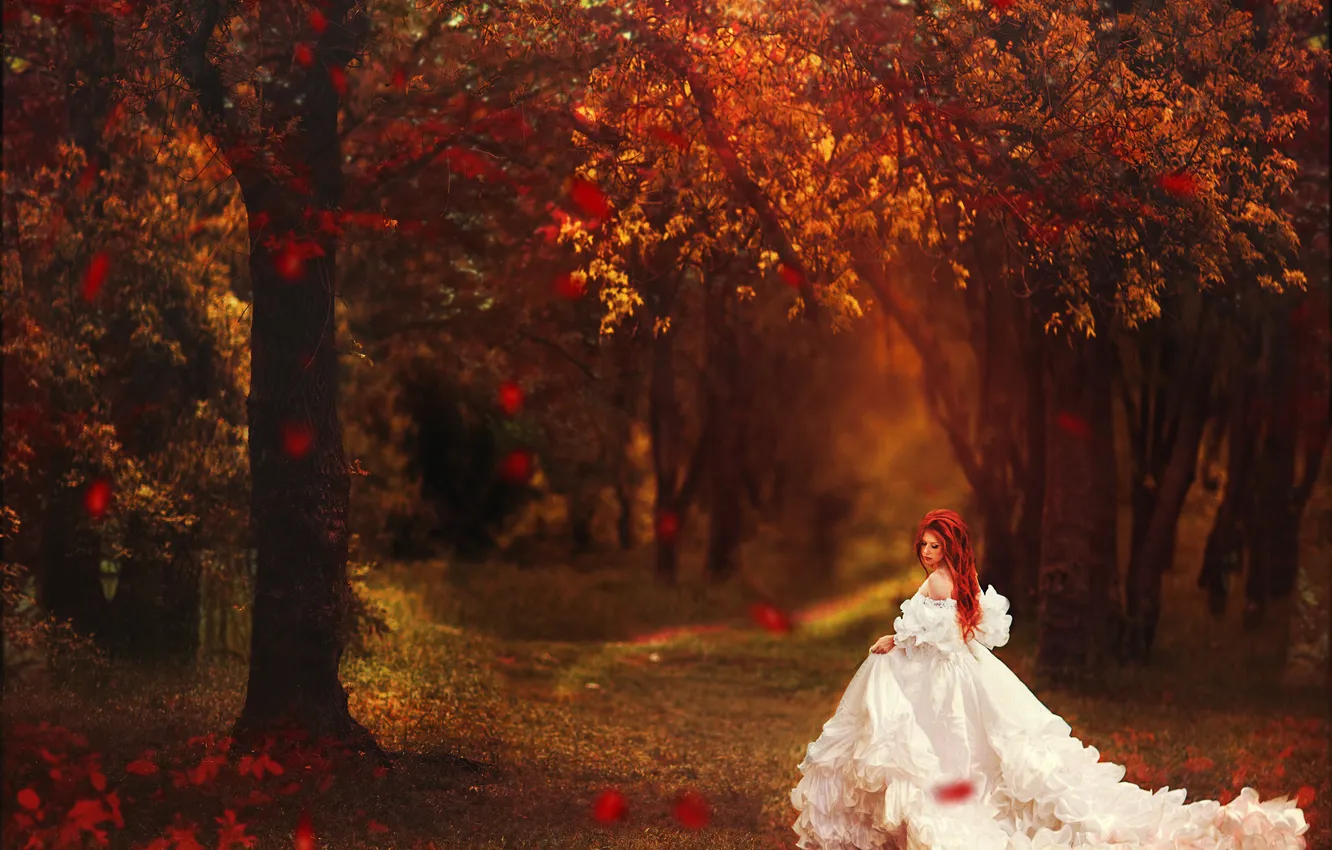 Фото обои осень, листья, девушка, деревья, природа, платье, рыжая, время года