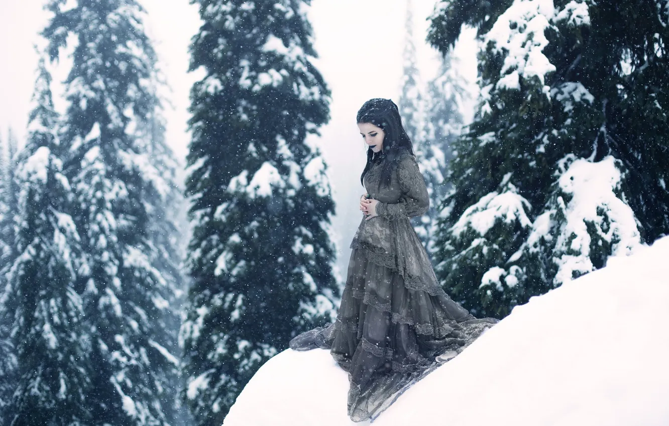 Фото обои зима, лес, девушка