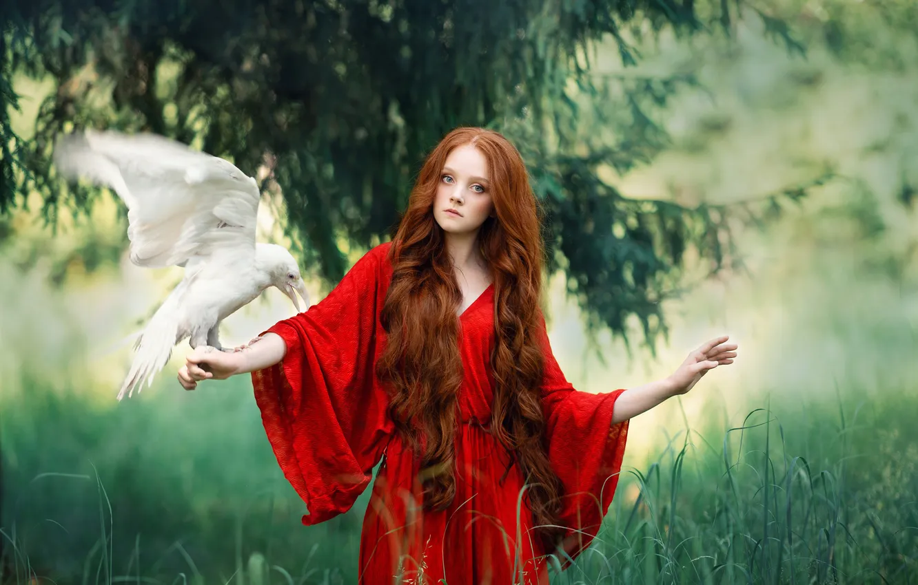 Фото обои девушка, ветки, природа, поза, стиль, птица, ель, руки