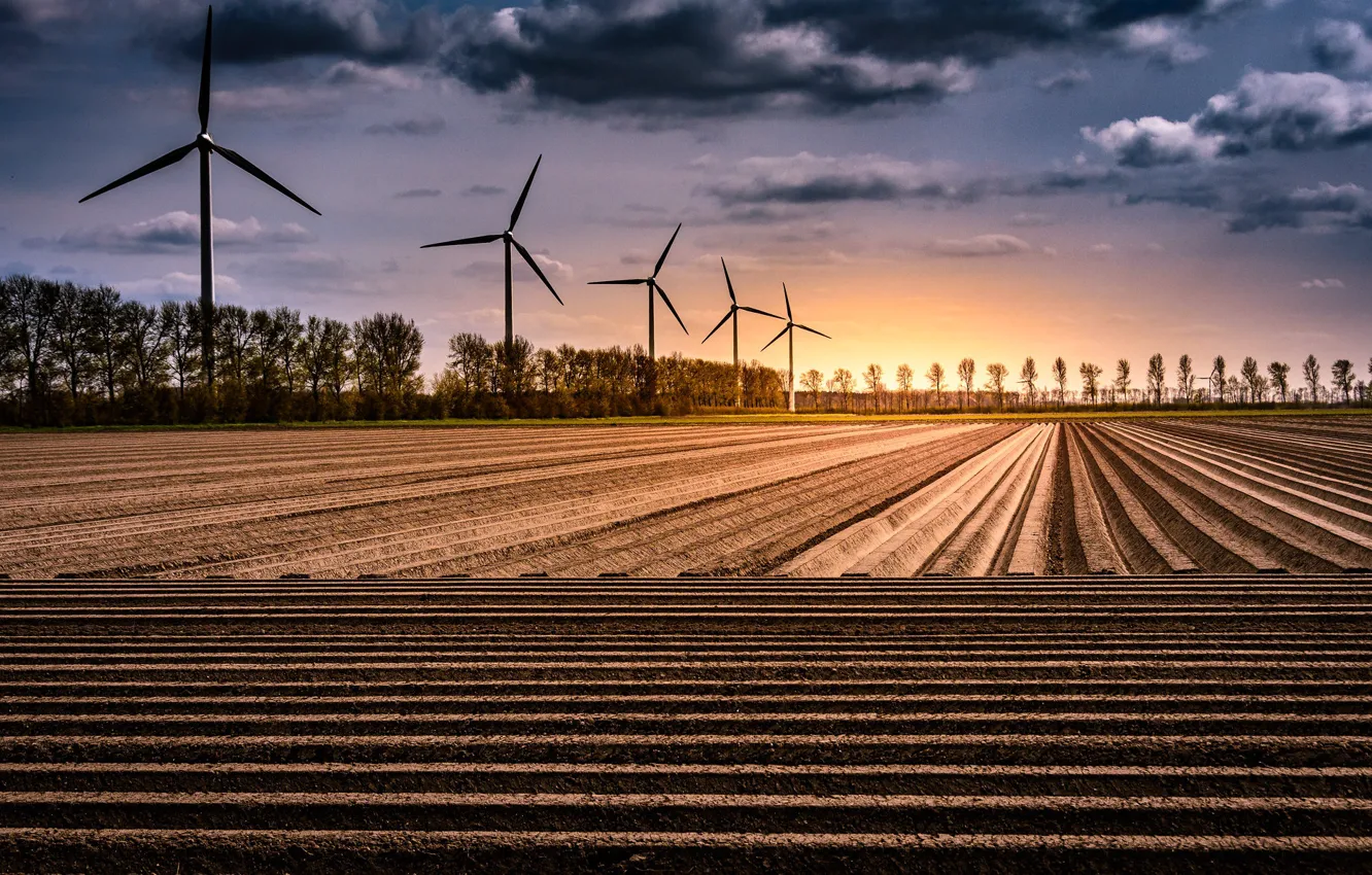 Фото обои Netherlands, windmills, Geometric nature