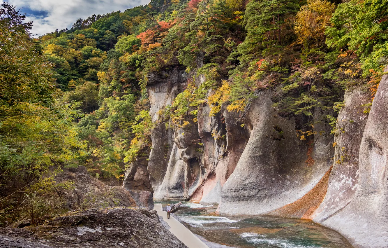 Фото обои осень, лес, солнце, деревья, река, камни, скалы, Япония