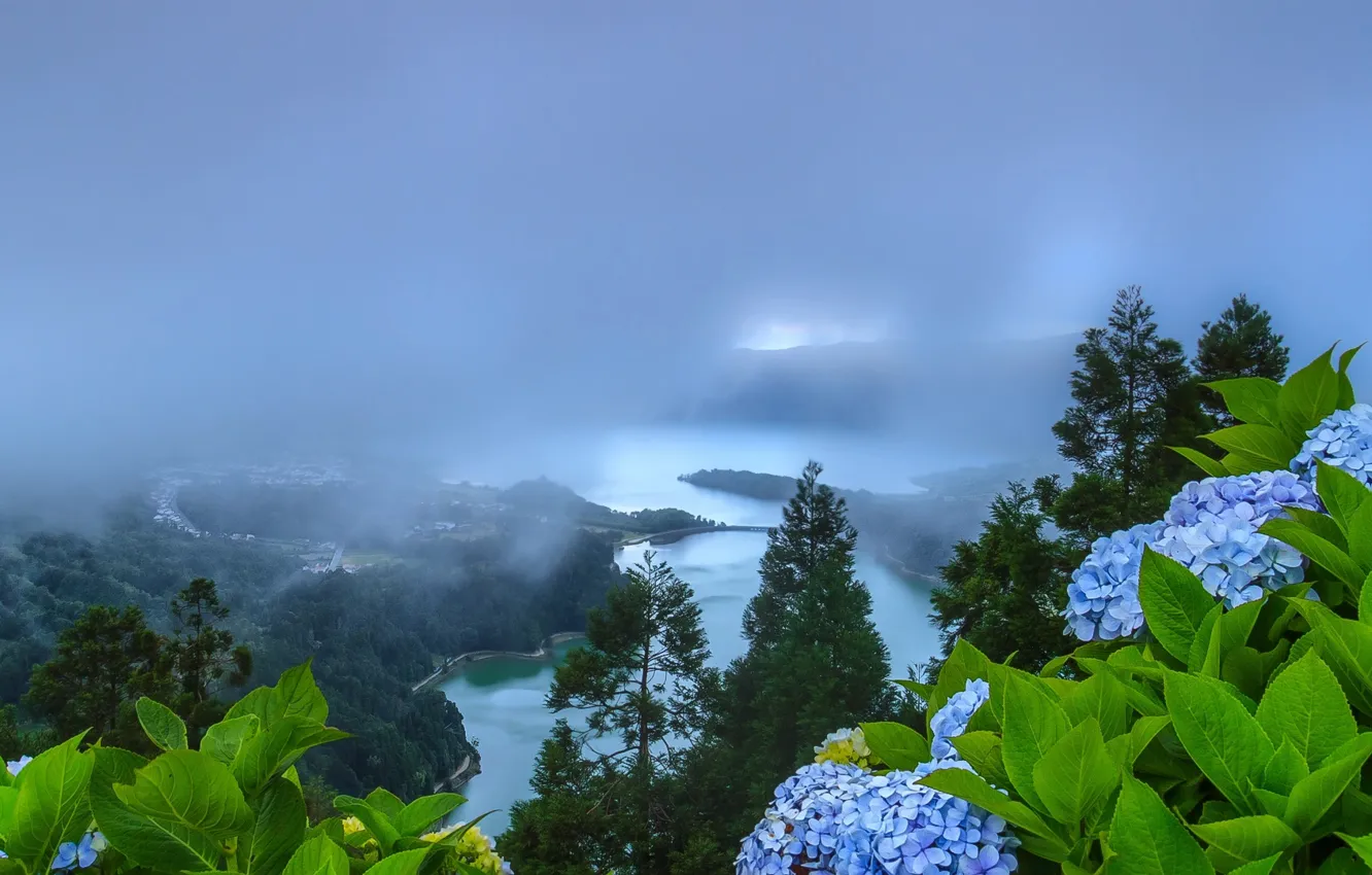 Фото обои пейзаж, цветы, природа, туман, озеро, холмы, растительность, Португалия