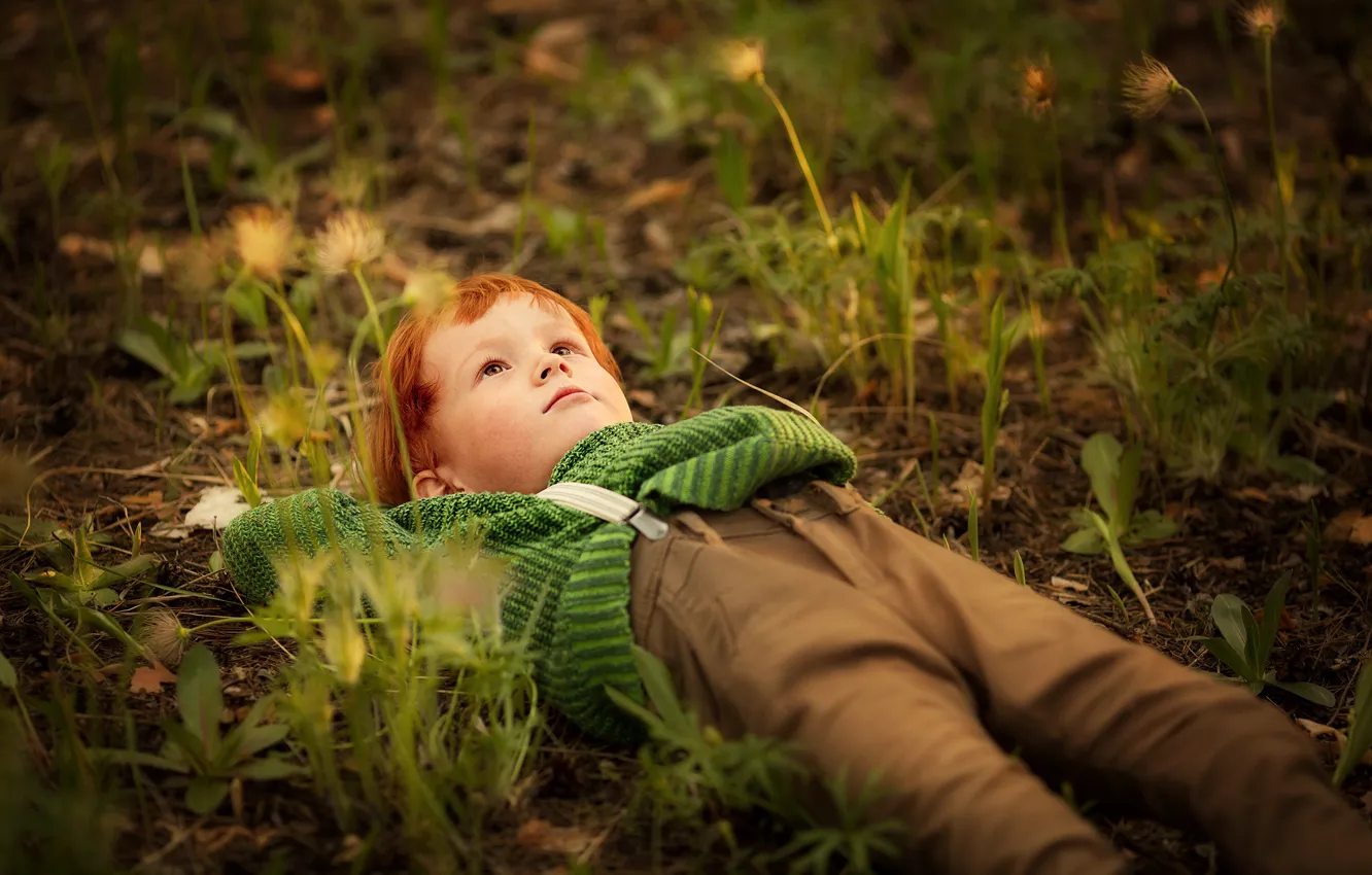 Фото обои трава, природа, мальчик, ребёнок, мечтатель, Марианна Смолина