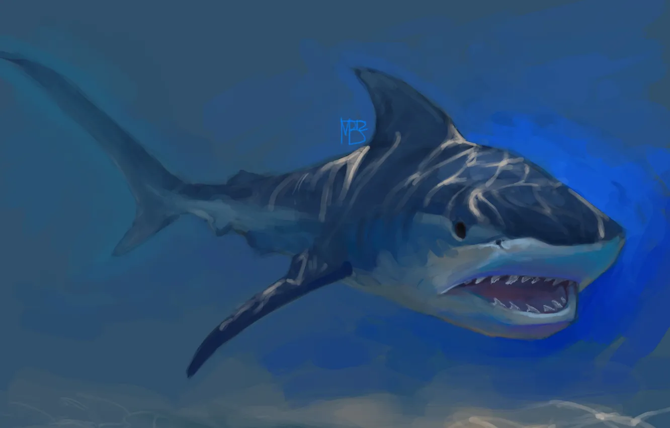 Фото обои рыба, хищник, акула, арт, пасть, под водой, солнечные лучи