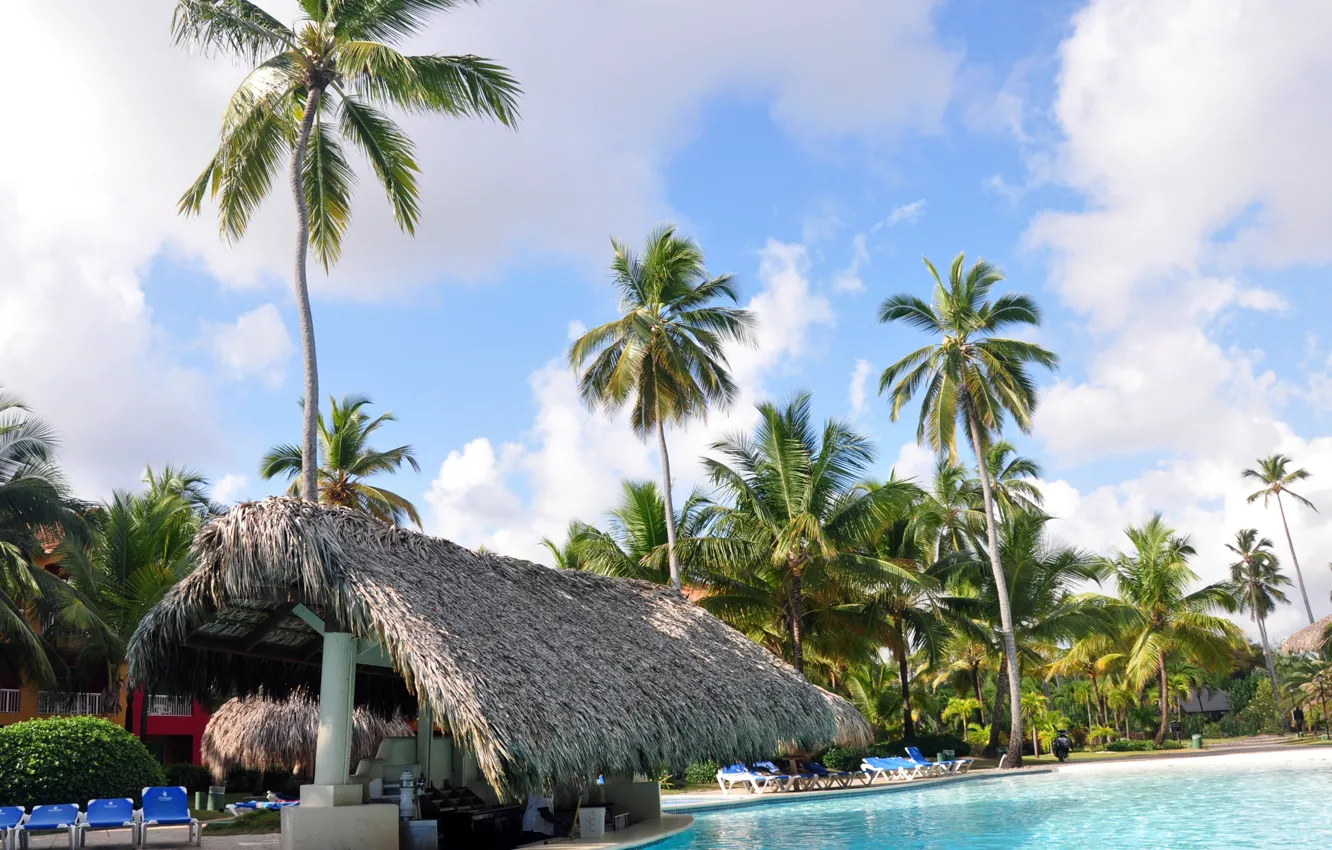 Фото обои пальмы, бар, бассейн, курорт, доминикана