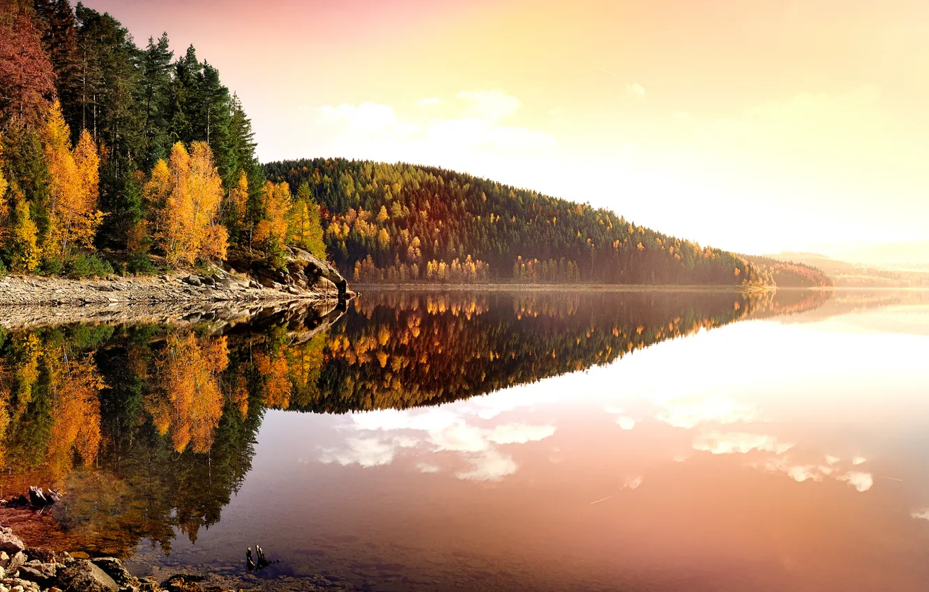 Фото обои осень, листья, вода, деревья, пейзаж, закат, природа, озеро