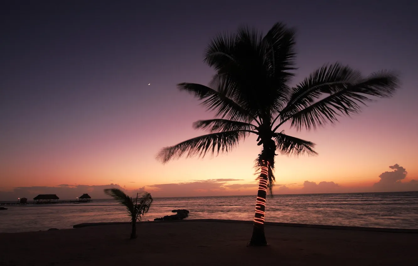Фото обои море, берег, вечер, Пальмы
