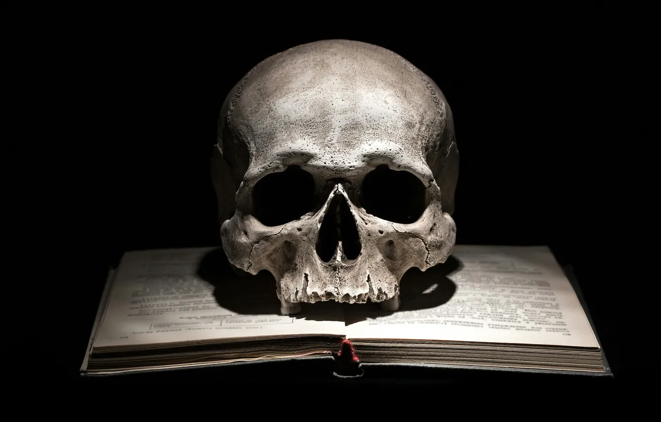 Фото обои skull, horror, art, book, crime, cover, head, scary