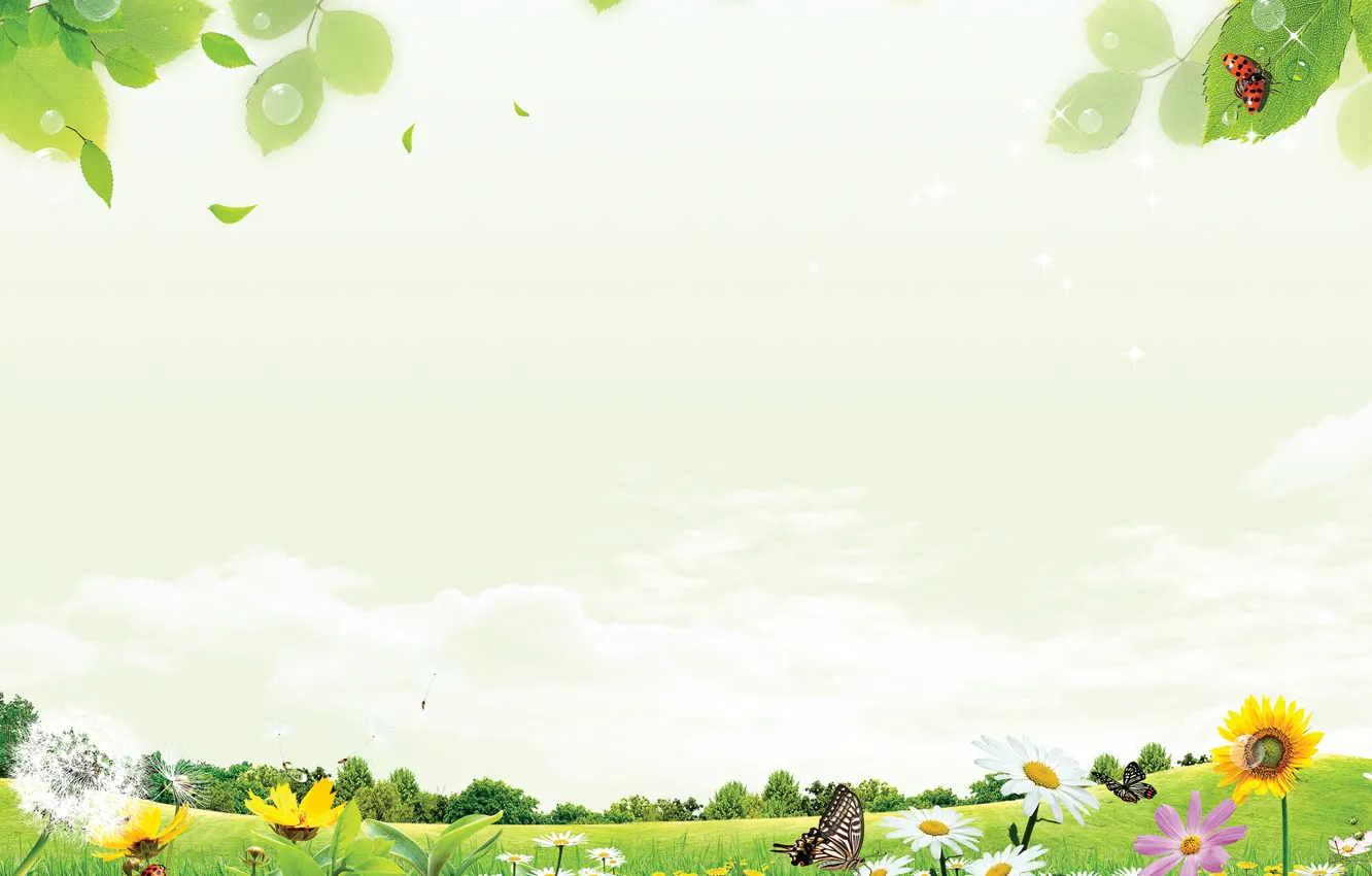 Фото обои лето, хорошее настроение, красивые обои, зеленый луг, цветы на лугу