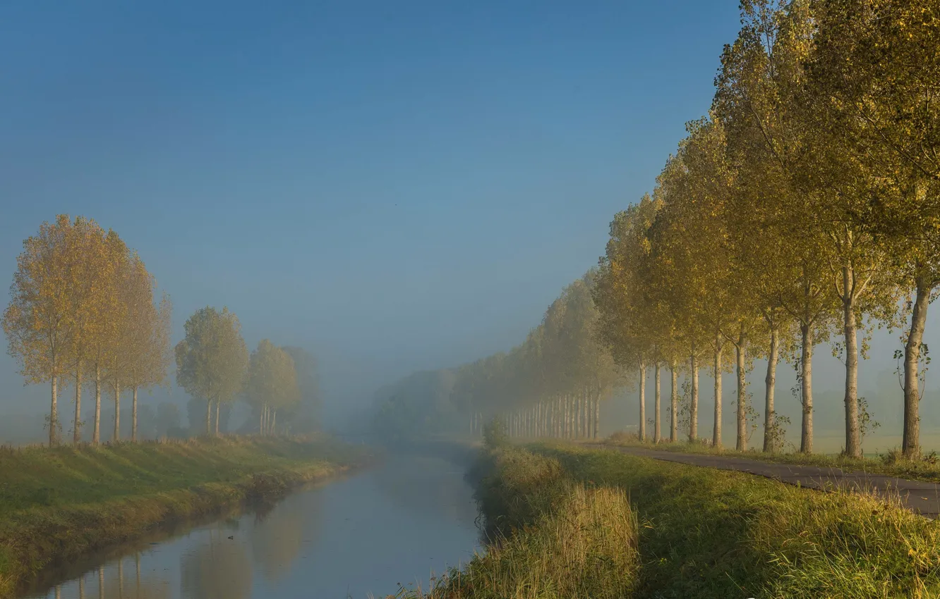 Фото обои утро, канал, Нидерланды