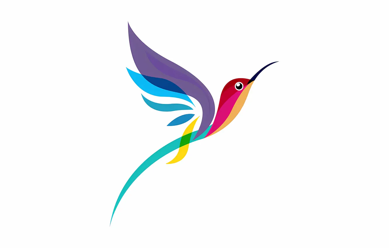 Фото обои colorful, bird, multicolor, hummingbird, stylized hummingbird, long tail