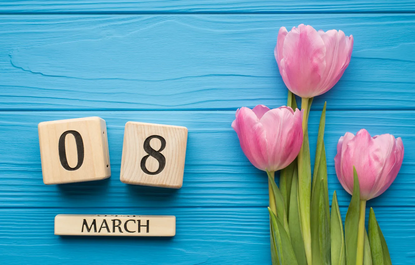Фото обои цветы, тюльпаны, happy, 8 марта, wood, pink, flowers, tulips