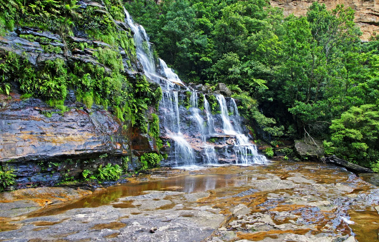Фото обои камни, водопад, HDR, Австралия, кусты, Katoomba Falls