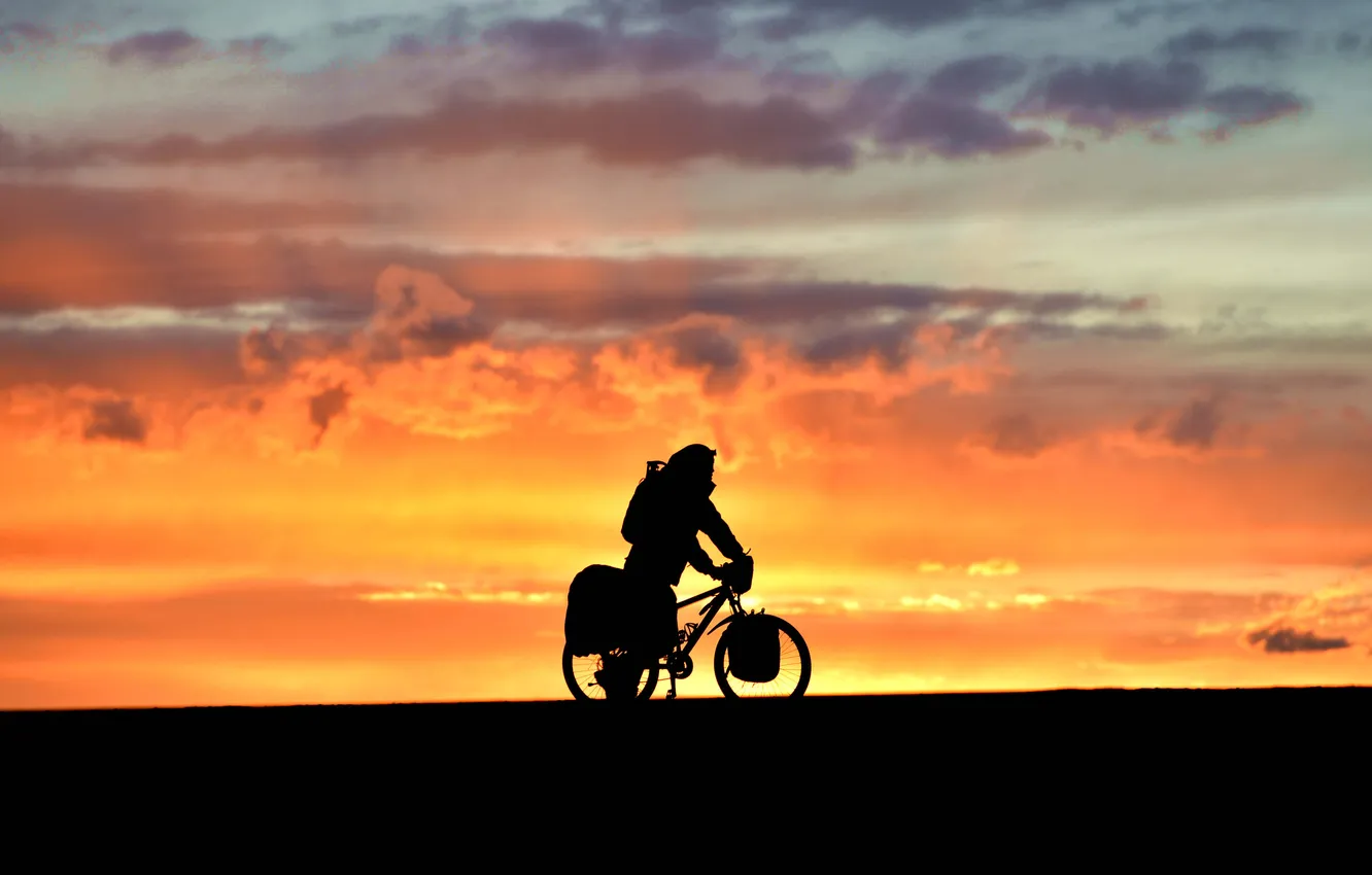 Фото обои поле, вечер, велосипедист