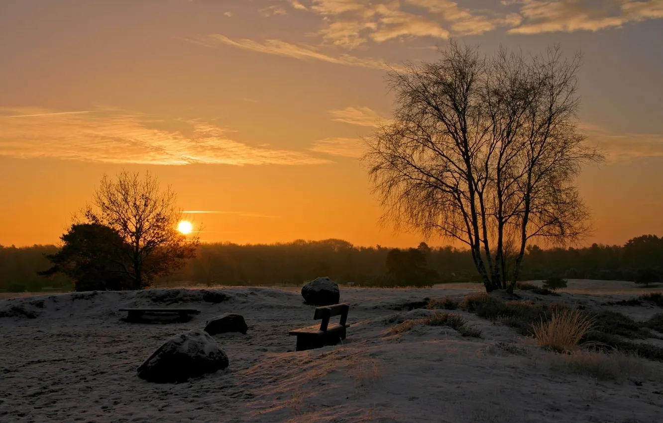 Фото обои зима, солнце, закат, скамейка, дерево