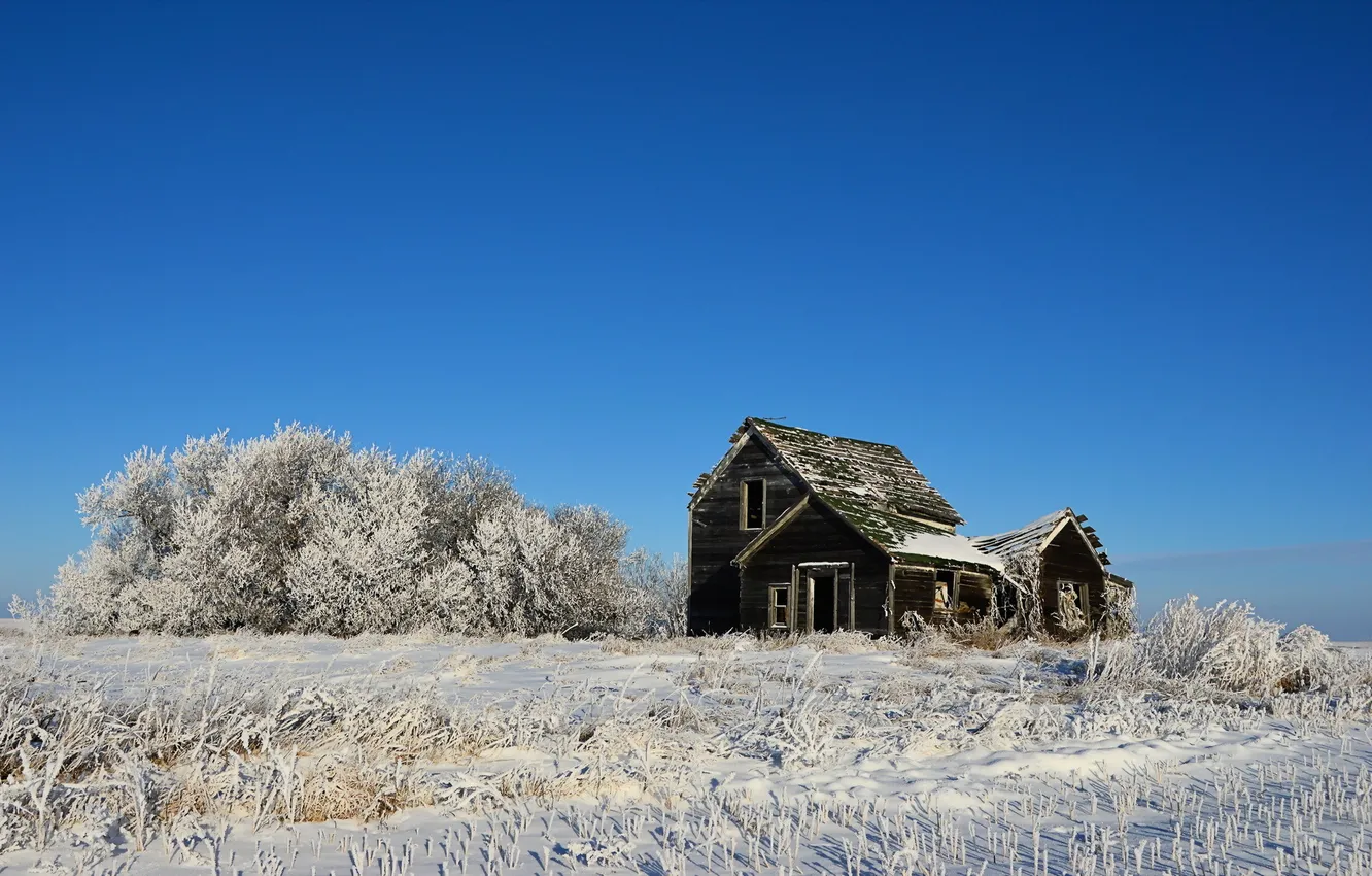 Фото обои зима, поле, пейзаж, дом