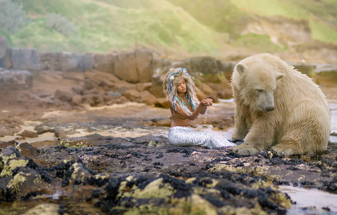 Фото обои девушка, ситуация, медведь