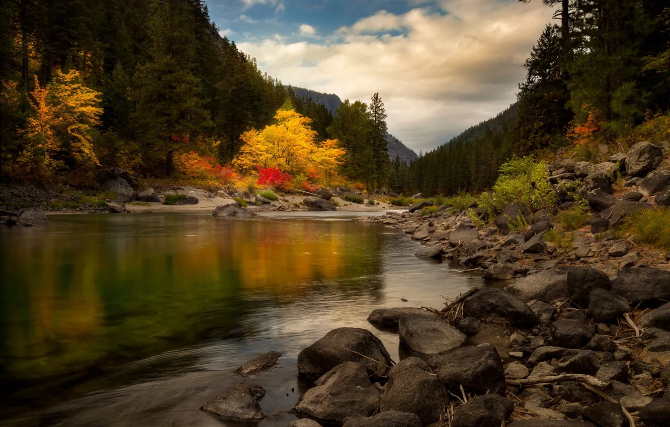 Фото обои осень, лес, река, камни, холмы, Doug Shearer