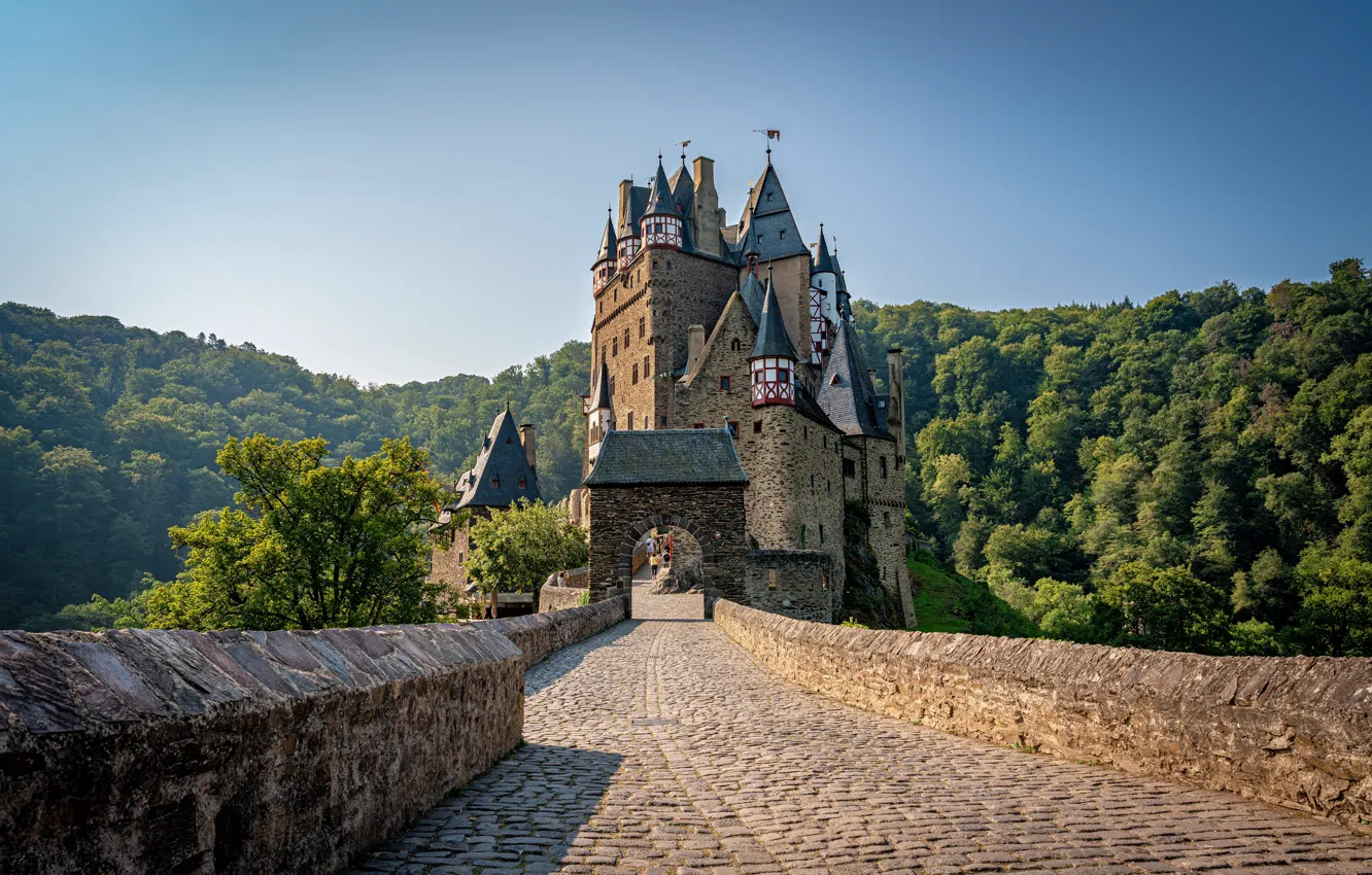 Фото обои лес, мост, замок, Германия, Germany, Eltz Castle, Замок Эльц