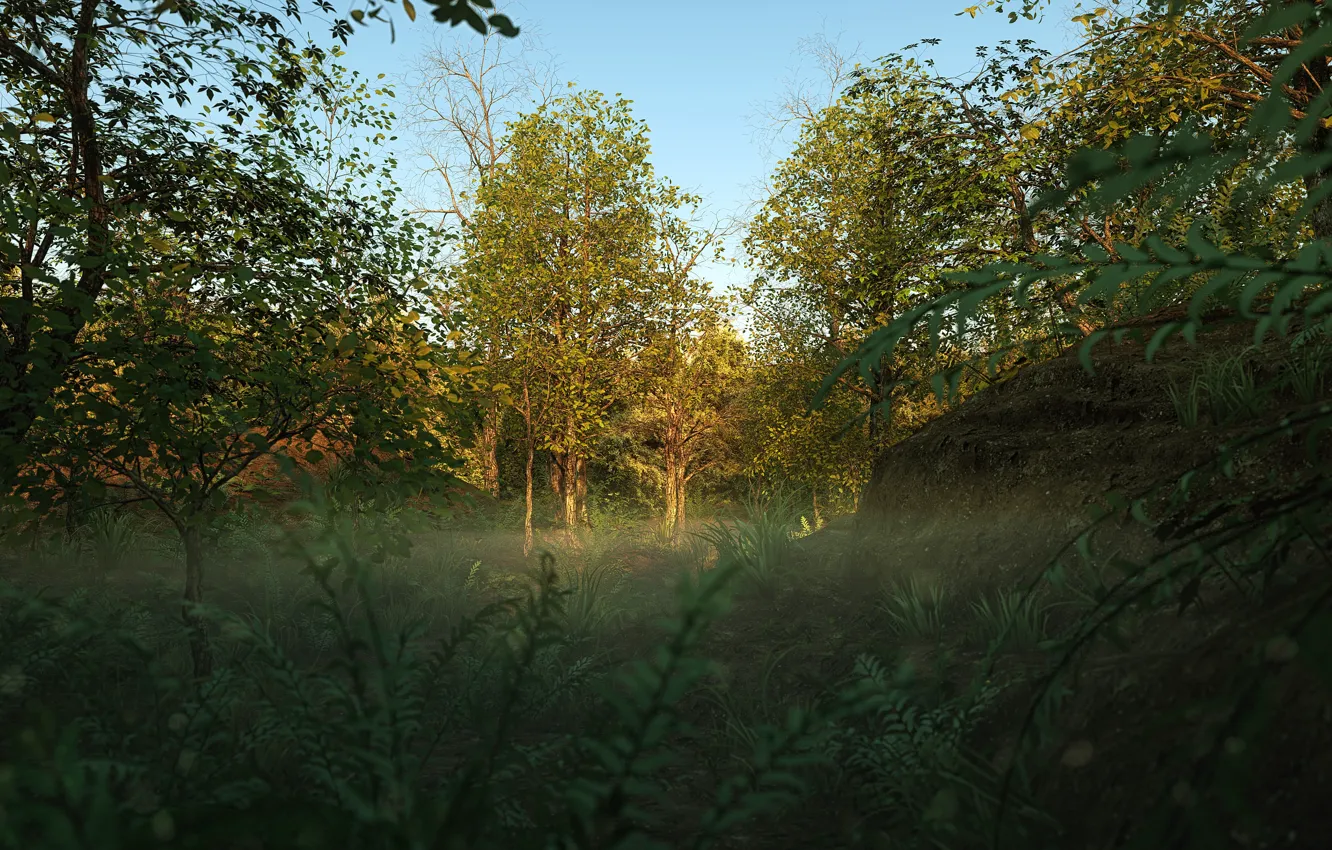Фото обои лес, лето, поляна, растительность, Into the Woods