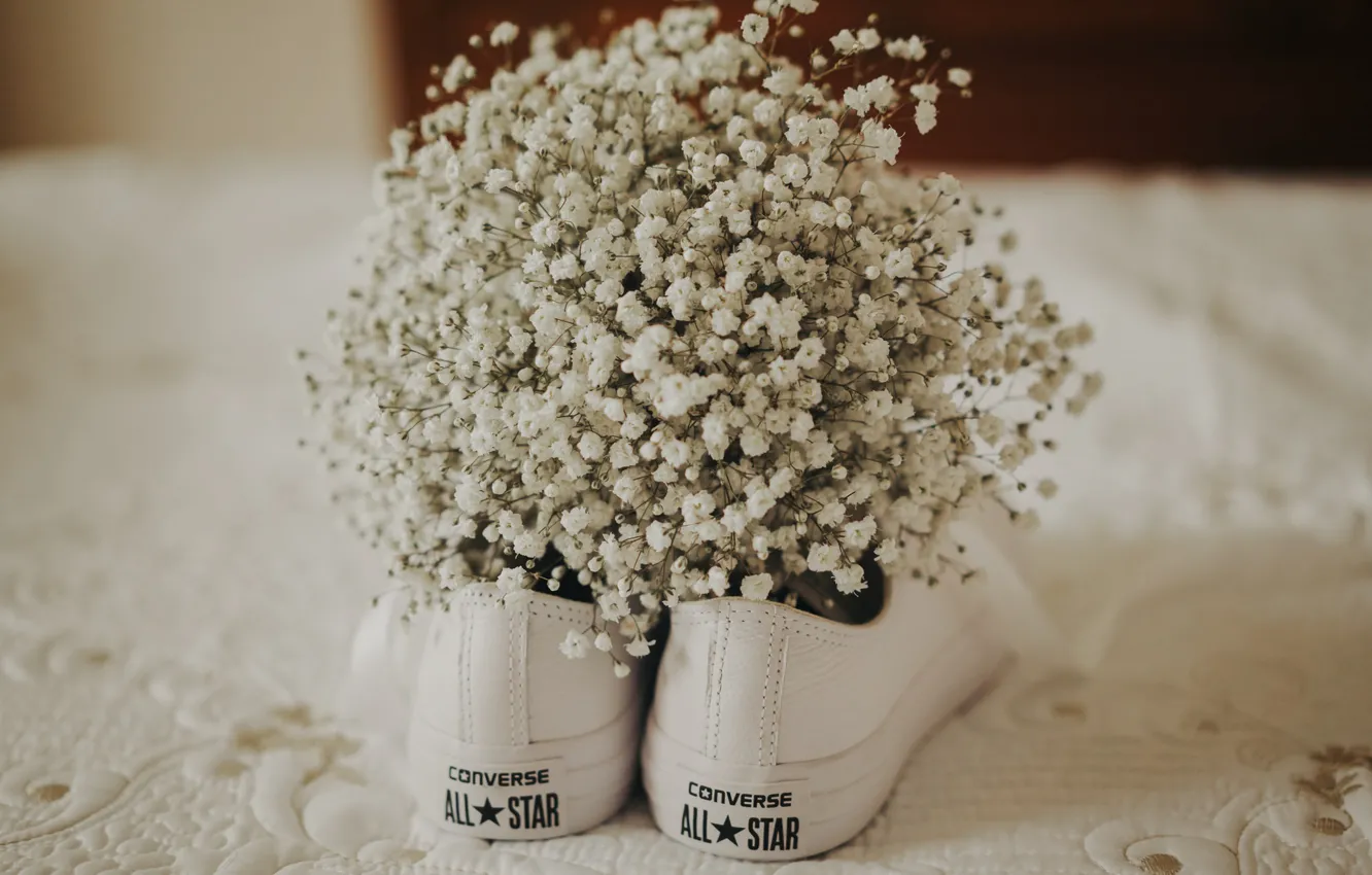 Фото обои цветы, обувь, кеды, converse