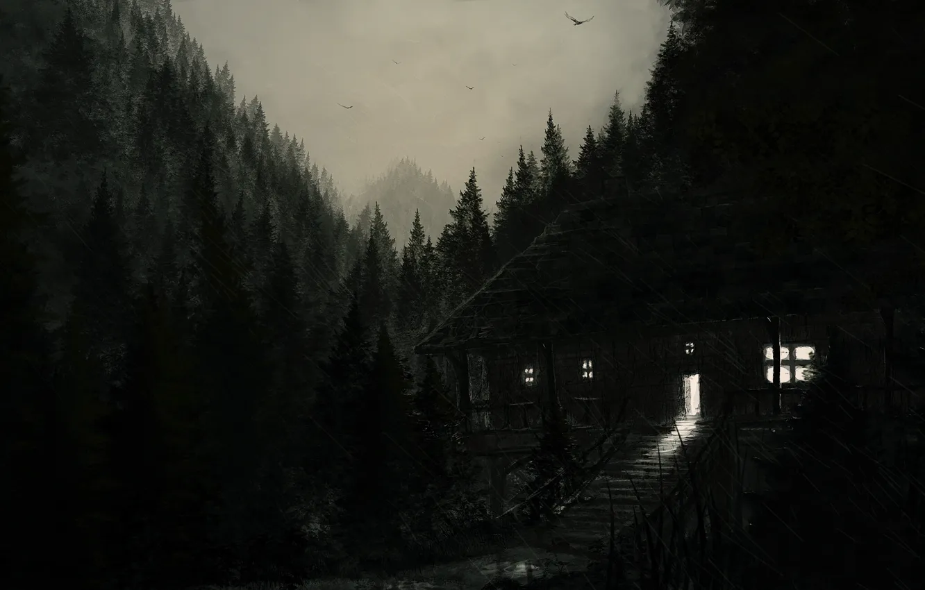 Фото обои лес, свет, дом, дождь, черный