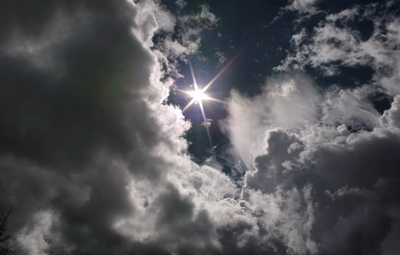 Фото обои summer, sunshine, sky, cloud, sun, glare, sunny