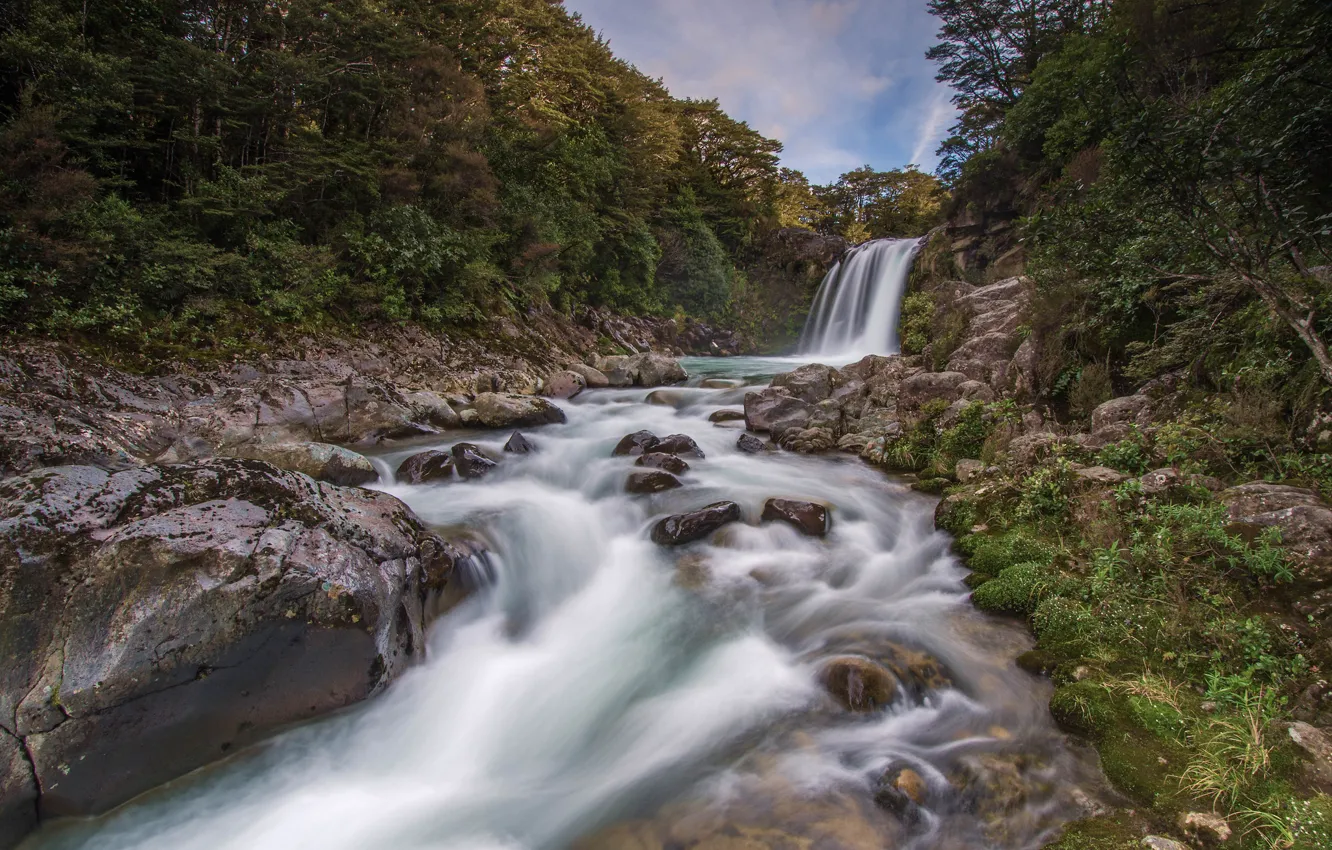 Фото обои лес, река, камни, водопад, Новая Зеландия, New Zealand, Tawhai Falls
