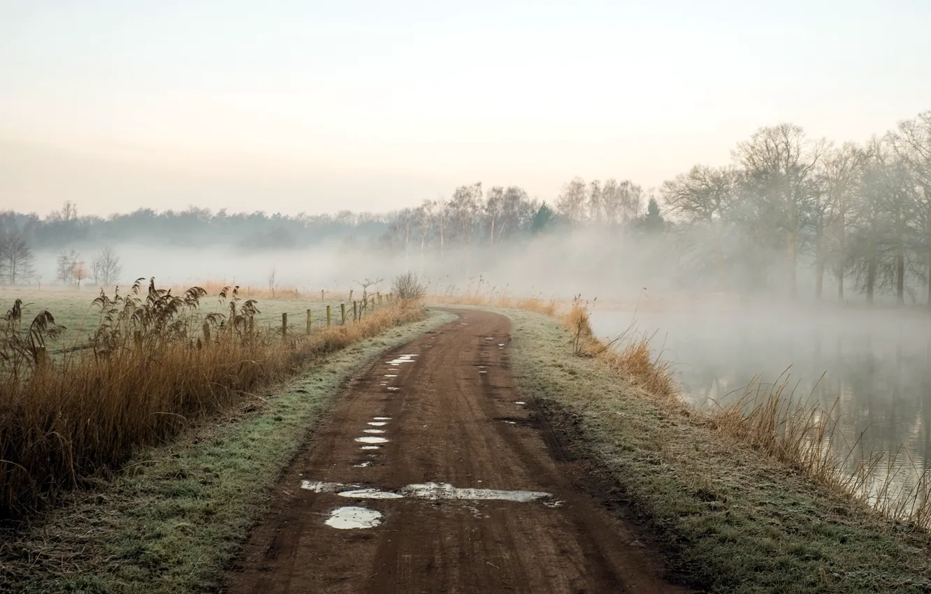 Фото обои дорога, пейзаж, природа, туман, река, утро