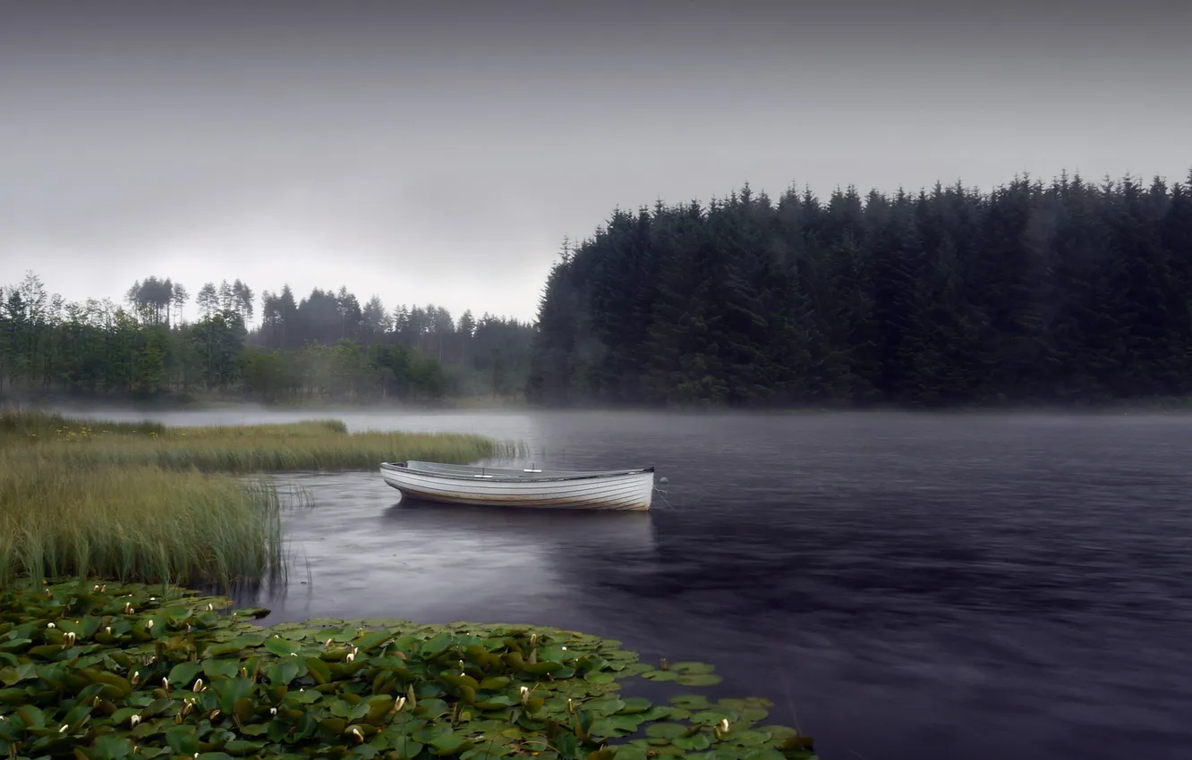 Фото обои пейзаж, природа, озеро, лодка